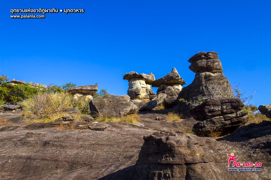 Phu Pha Toep National Park